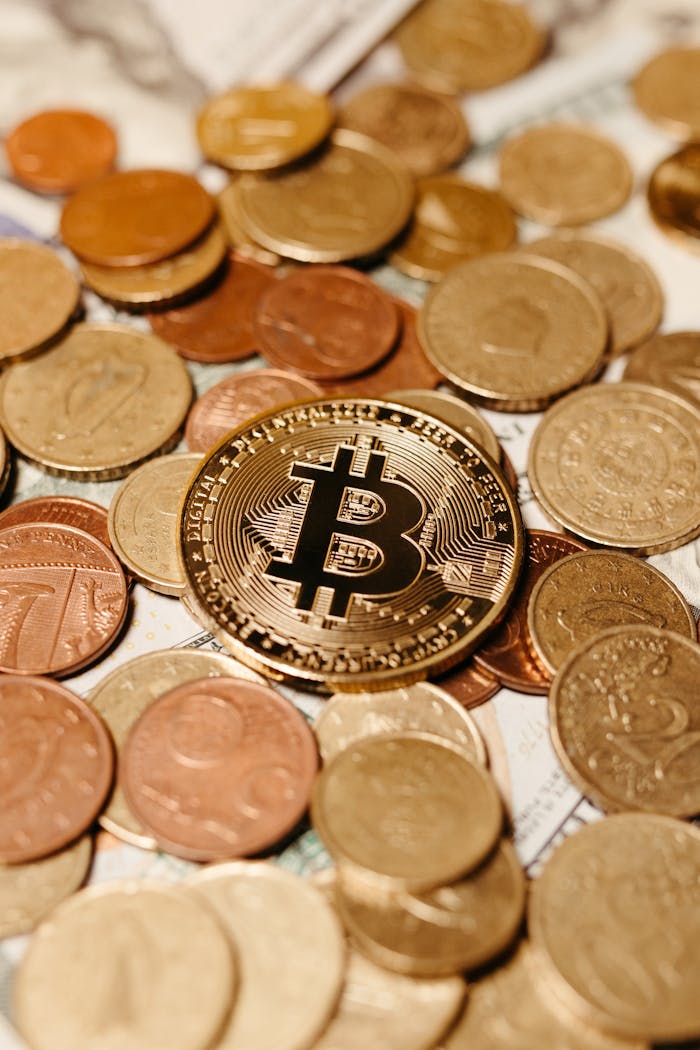 gallery-03 A golden bitcoin among mixed coins symbolizing cryptocurrency and digital finance.